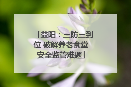 益阳：三防三到位 破解养老食堂安全监管难题
