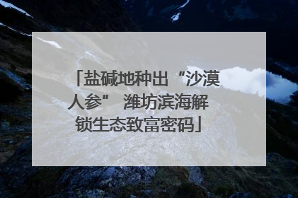 盐碱地种出“沙漠人参” 潍坊滨海解锁生态致富密码