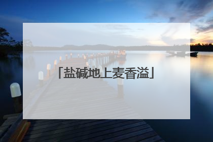 盐碱地上麦香溢
