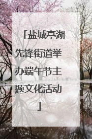 盐城亭湖先锋街道举办端午节主题文化活动