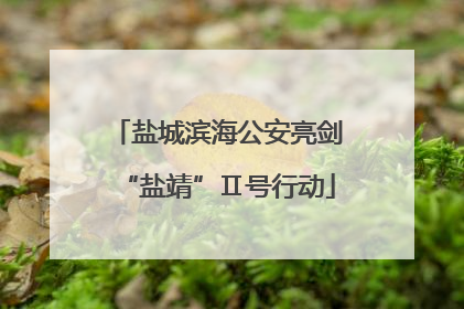 盐城滨海公安亮剑“盐靖”Ⅱ号行动