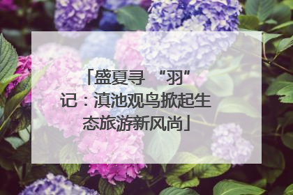 盛夏寻 “羽” 记：滇池观鸟掀起生态旅游新风尚