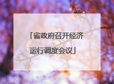 省政府召开经济运行调度会议