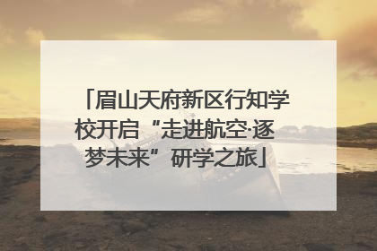 眉山天府新区行知学校开启“走进航空·逐梦未来”研学之旅