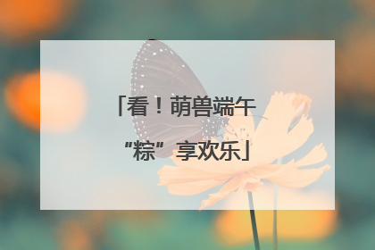 看！萌兽端午“粽”享欢乐