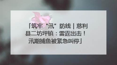 筑牢“汛”防线｜慈利县二坊坪镇：雷霆出击！汛期捕鱼被紧急叫停
