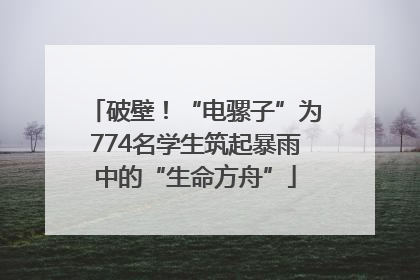 破壁！“电骡子”为774名学生筑起暴雨中的“生命方舟”
