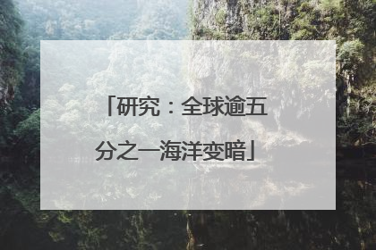研究：全球逾五分之一海洋变暗
