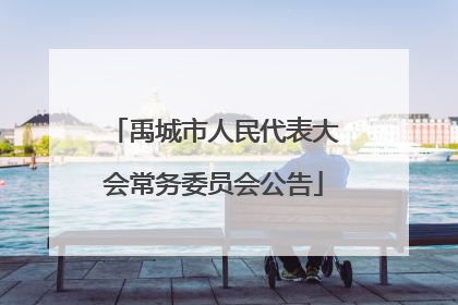 禹城市人民代表大会常务委员会公告