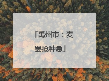 禹州市：麦罢抢种急
