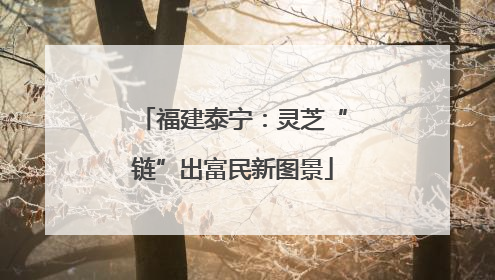 福建泰宁：灵芝“链”出富民新图景