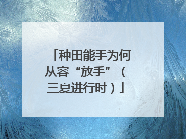 种田能手为何从容“放手”（三夏进行时）