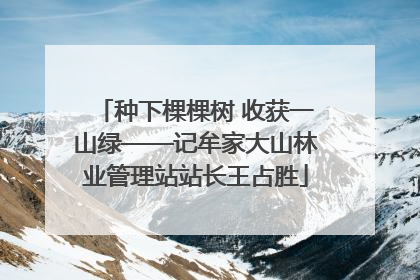 种下棵棵树 收获一山绿——记牟家大山林业管理站站长王占胜