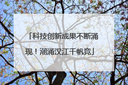 科技创新成果不断涌现！潮涌汉江千帆竞