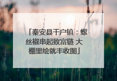 秦安县千户镇：螺丝椒串起致富链 大棚里绘就丰收图