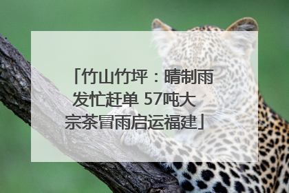 竹山竹坪：晴制雨发忙赶单 57吨大宗茶冒雨启运福建