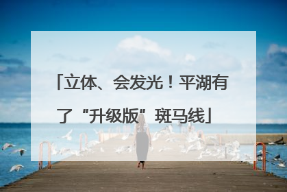 立体、会发光！平湖有了“升级版”斑马线