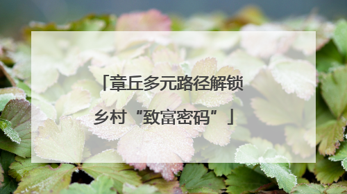 章丘多元路径解锁乡村“致富密码”