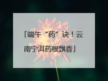 端午“药”诀！云南宁洱药根飘香