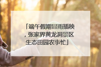 端午假期冒雨插秧，张家界黄龙洞景区生态田园农事忙