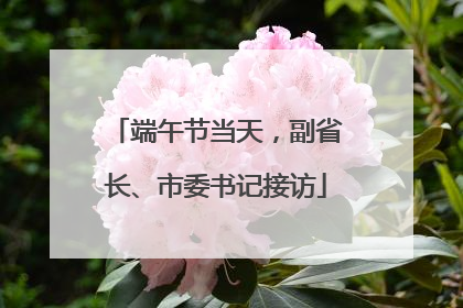 端午节当天，副省长、市委书记接访