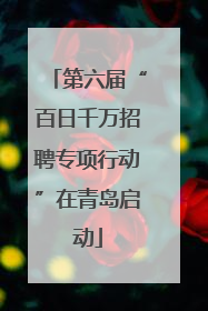 第六届“百日千万招聘专项行动”在青岛启动