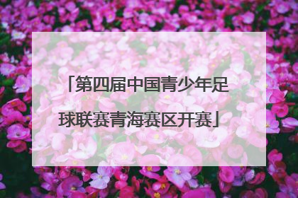 第四届中国青少年足球联赛青海赛区开赛