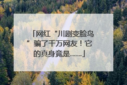 网红“川剧变脸鸟”骗了千万网友！它的真身竟是……