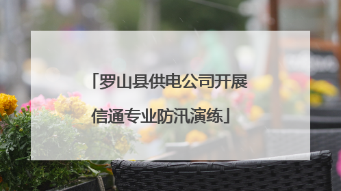 罗山县供电公司开展信通专业防汛演练
