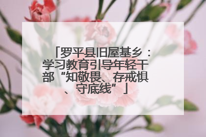 罗平县旧屋基乡：学习教育引导年轻干部“知敬畏、存戒惧、守底线”