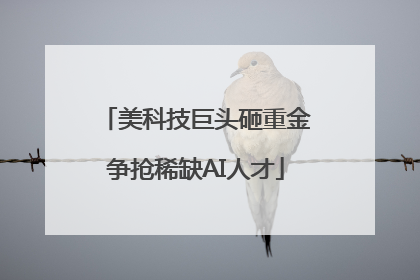 美科技巨头砸重金争抢稀缺AI人才