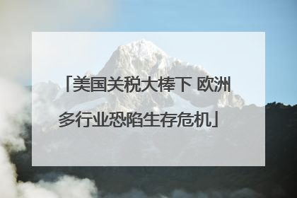 美国关税大棒下 欧洲多行业恐陷生存危机