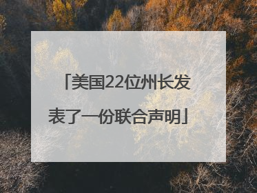 美国22位州长发表了一份联合声明