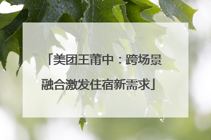 美团王莆中：跨场景融合激发住宿新需求