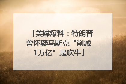 美媒爆料：特朗普曾怀疑马斯克“削减1万亿”是吹牛