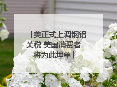 美正式上调钢铝关税 美国消费者将为此埋单