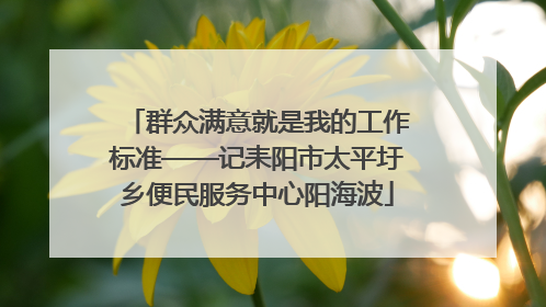 群众满意就是我的工作标准——记耒阳市太平圩乡便民服务中心阳海波