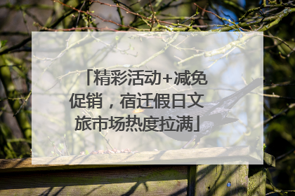精彩活动+减免促销，宿迁假日文旅市场热度拉满