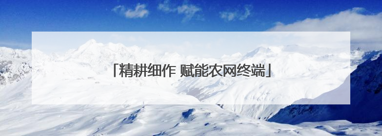 精耕细作 赋能农网终端