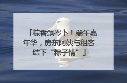 粽香飘岑卜！端午嘉年华，房东阿姨与租客结下“粽子情”