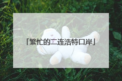 繁忙的二连浩特口岸