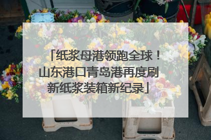 纸浆母港领跑全球！山东港口青岛港再度刷新纸浆装箱新纪录