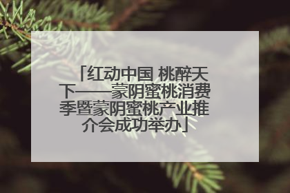 红动中国 桃醉天下——蒙阴蜜桃消费季暨蒙阴蜜桃产业推介会成功举办