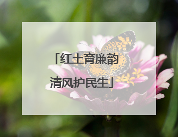 红土育廉韵 清风护民生