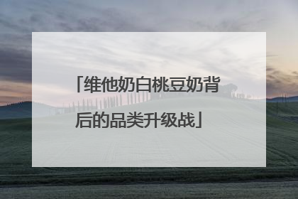 维他奶白桃豆奶背后的品类升级战
