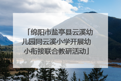 绵阳市盐亭县云溪幼儿园同云溪小学开展幼小衔接联合教研活动