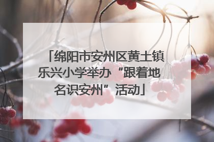 绵阳市安州区黄土镇乐兴小学举办“跟着地名识安州”活动