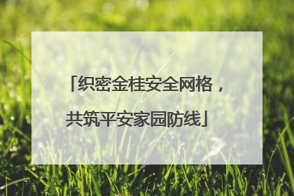 织密金桂安全网格，共筑平安家园防线