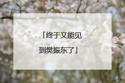 终于又能见到樊振东了