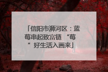信阳市浉河区：蓝莓串起致富链 “莓”好生活入画来